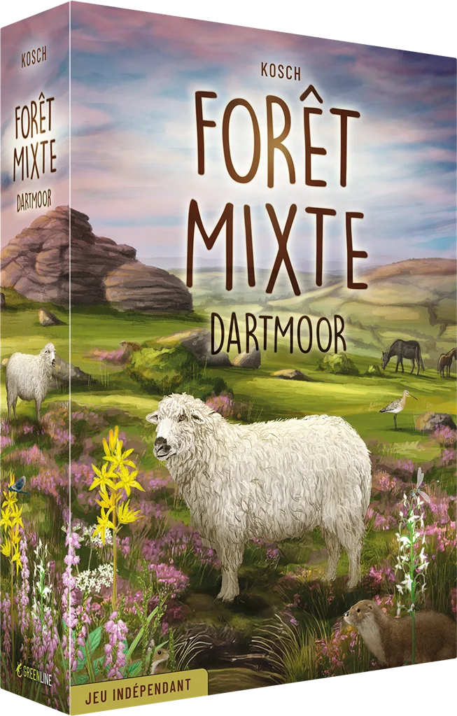 Forêt Mixte - Dartmoor - FR