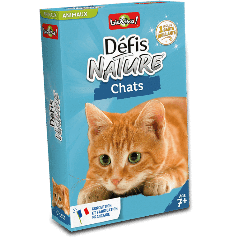 DN - Chats