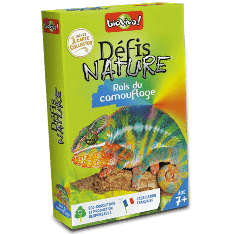 DN - Rois du camouflage