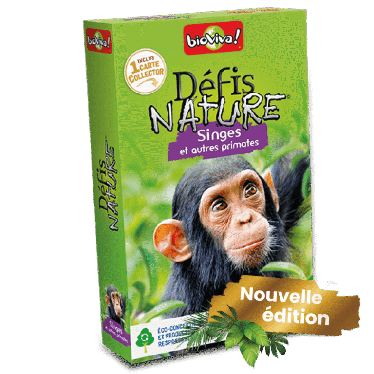 DN - Singes et autres primates